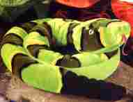 Green Rock Rattlesnake - Click to buy me