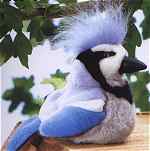 Blue Jay -  Plush stuffed animal toys at Wild Primates.